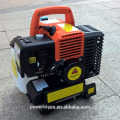 Bison China Zhejiang Price Of Sine Wave Compact Lightweight Only 8.5kg Digital 1000W Gasoline Inverter Generator